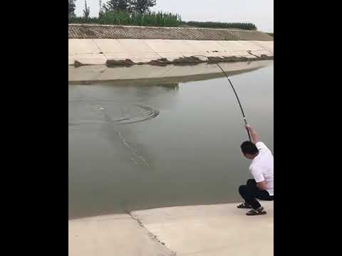 Fishing Rod Performance Test 😮 Best #Fishing #Rods