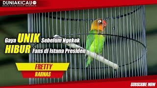 Download lagu Gaya UNIK Sebelum Ngekek, HIBUR Fans Di Istana PRESIDEN mp3 Download lagu Gaya UNIK Sebelum Ngekek, HIBUR Fans Di Istana PRESIDEN mp3