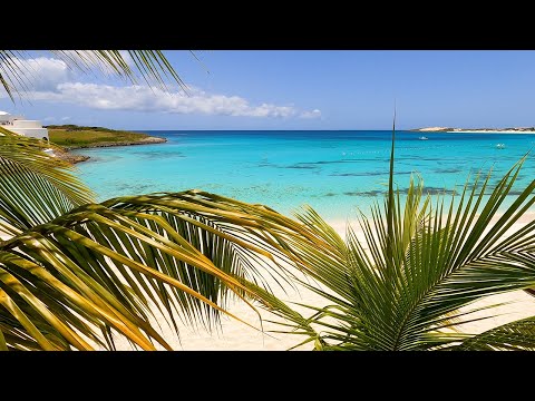 Tropical Zen: 3 Hours Relaxing on The Best Beaches In The World