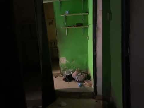 Room Self Contain for Rent in Ago Roundabout, Okota, Lagos