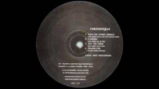 Phenomyna -  Into the Other World (Explained by the Black Dog) 1994