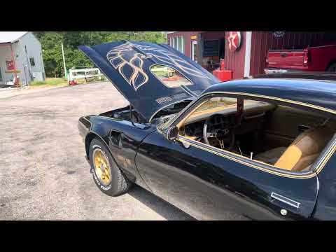 1976 Pontiac Firebird Trans Am (CC-1820985) for sale in Wilson, Oklahoma