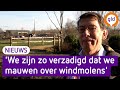 Grondlegger windmolens: "We zijn zo verzadigd dat we zeuren over windmolens"