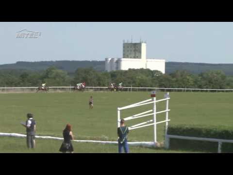 MI, 3. 6. 2017, 4. dostih - Cena firmy DELIKAN