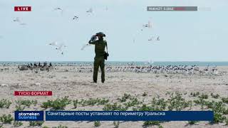 АТЫРАУДА ЖАППАЙ ҚҰС ҚЫРЫЛУДА