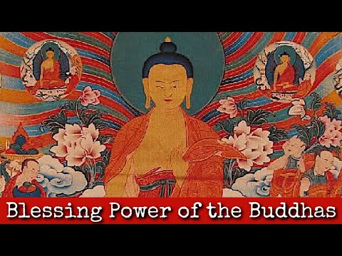 Ep233: Blessing Power of the Buddhas - Naomi Levine 4