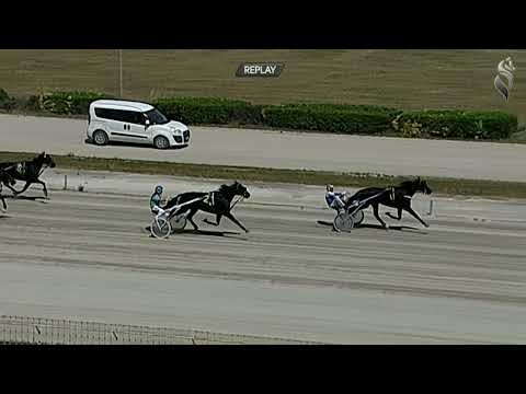 Aversa trotto 28 Maggio 2022 - 1° Corsa