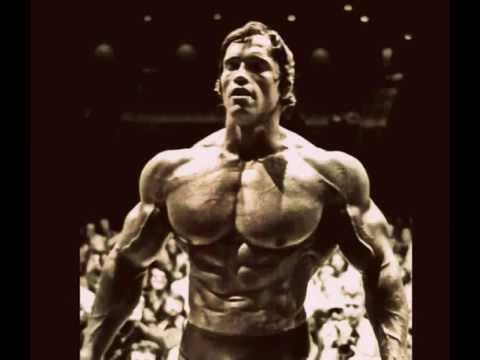 arnold schwarzenegger : the golden era
