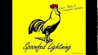 Spoonfed Lightning - Blues, Roots & Southern Groove.  San Luis Obispo, CA