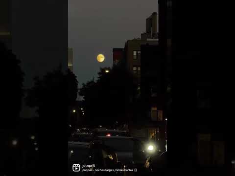Harvest Moon 2022 NYC
