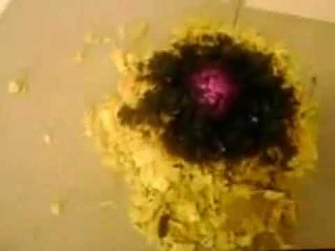 Firex ® Alev Önleyici