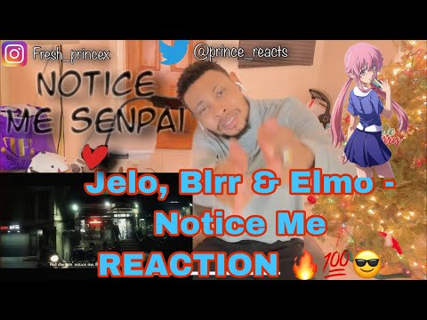 Jelo, Blrr & Elmo - Notice Me (Official Music Video) REACTION | Jelo Notice Me Reaction