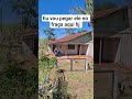 oxe #roça #sitio #sabiadocampo