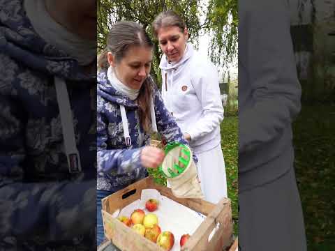 Marlene, Mathilde und Maria bei der Apfelernte #choir #acapella #harmony #song #folk #newmusic