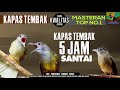 Masteran Suara Burung Kapas Tembak Gacor Pilihan Juri Senasional Durasi Panjang Kapastembak