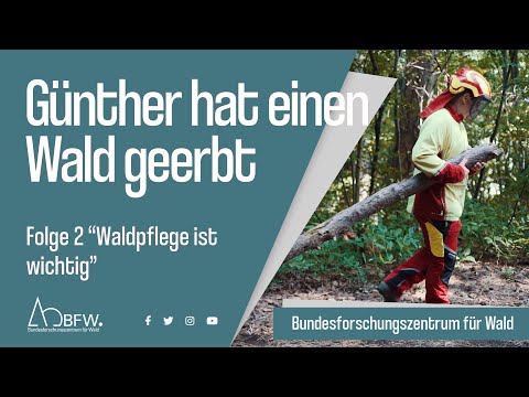 Günther hat einen Wald geerbt – Folge 2 „Waldpflege ist wichtig“