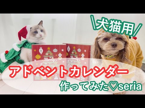 犬と猫のためのDIYアドベントカレンダー