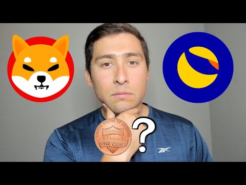 A Look Into SHIBA INU For TERRA LUNA CLASSIC Perspective