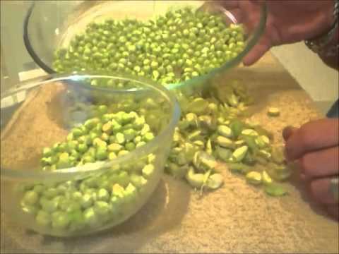 MEMORIES OF MALTA ~ Insalada Cicri (FRESH Chickpea Salad)