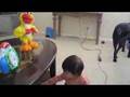 Elmo Chicken Dance 1