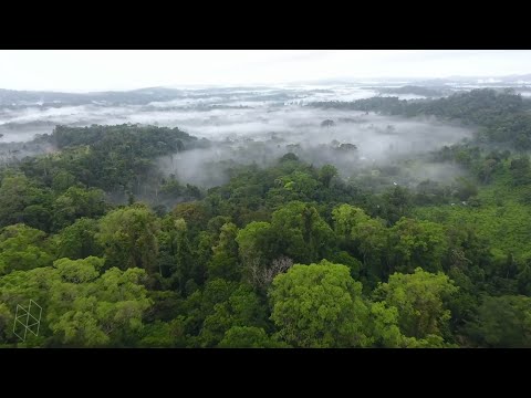 Climate Change Adaptation: Designing for Change