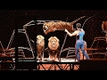 Ringling Bros Circus To Perform Final Show