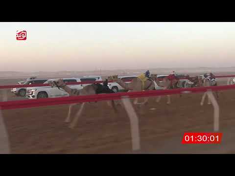  ش 3 (الشاهينية) لـ مبارك راشد مفتاح الشامسي 2:04 , شارة الصندوق 2026/06/06 فطامين الروضة   