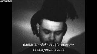 The Weeknd - What You Need (Türkçe Çeviri)