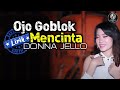 Donna Jello Ojo Goblok Mencinta Lirik