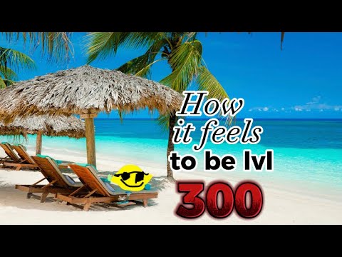 How it feels to be lvl 300 in Combat Warriors