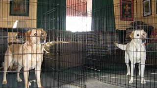 The Rose Hotel at the Ross Ranch