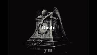 Birdy - No Angel (lyrics)