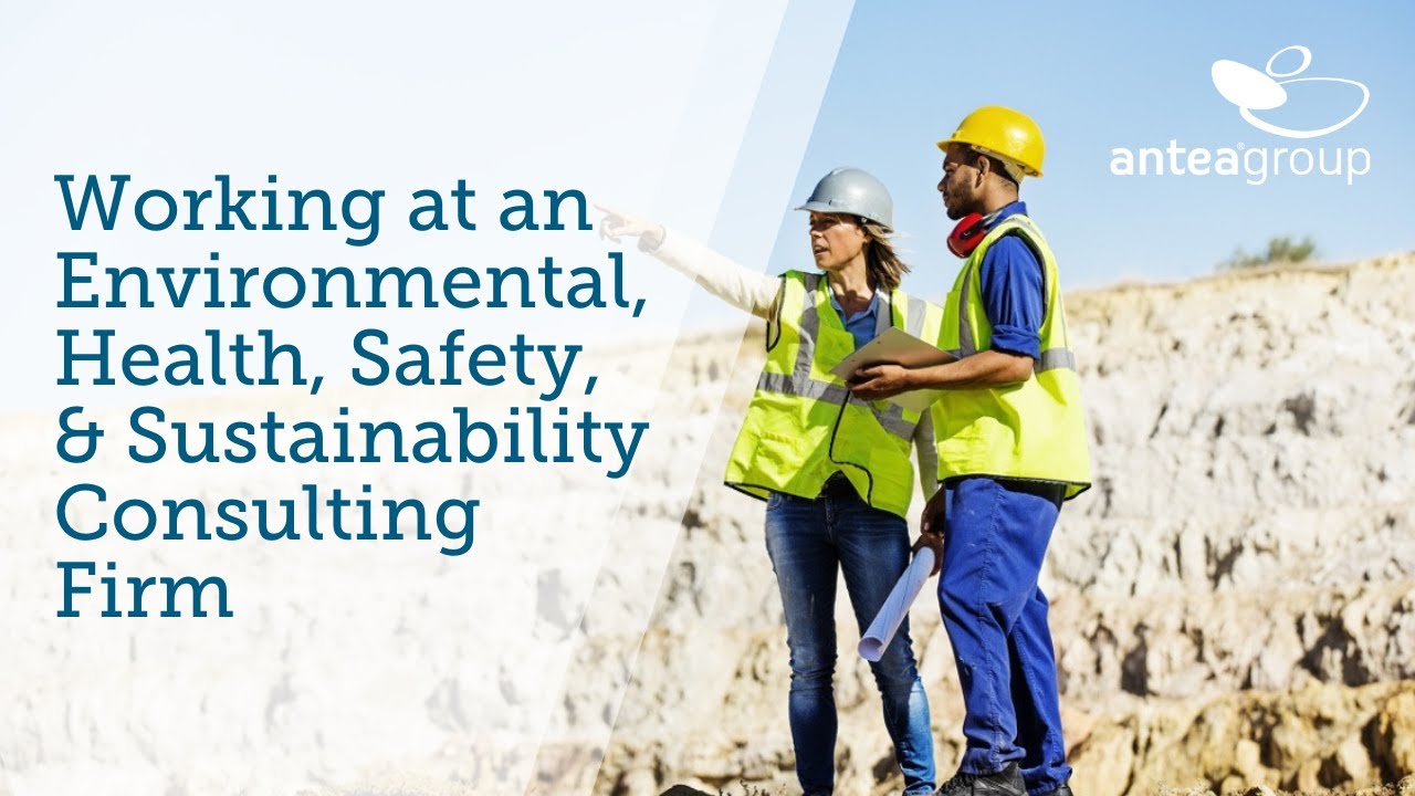 Working at Antea Group