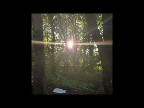 [SOLD] acoustic sewerperson x skele x killedmyself type beat - don't let this moment pass you by.