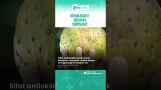 Sifat Antioksidan dalam Buah Sirsak Dapat Melawan Radikal Bebas, Inilah Manfaat untuk Tubuh
