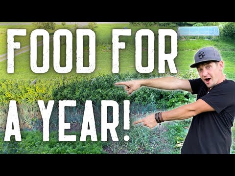 FULL Summer Garden Tour! What Do We Grow To Eat Year-Round?