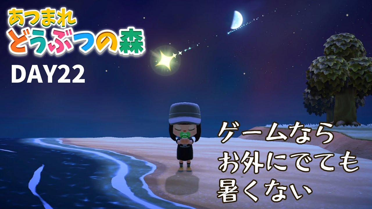 【あつまれどうぶつの森】あたらしい島民がきている気がする 22日目【戌亥とこ/にじさんじ】
