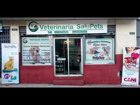 Single Video thumbnail