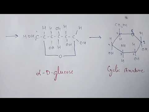 CHAPTER CARBOHYDRATES part 1 BIOCHEMISTRY BY PHANINDRA GUPTA