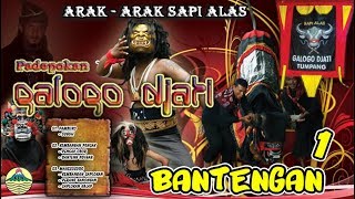 Download lagu PAMBUKO PENCAK OBOR - Bantengan | Galogo Djati mp3 Download lagu PAMBUKO PENCAK OBOR - Bantengan | Galogo Djati mp3