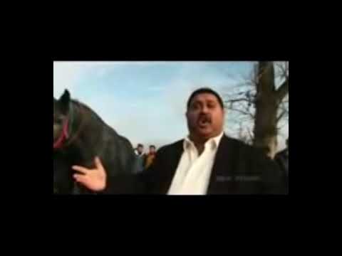 Grofo - Van két lovam HD