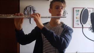 Dusk till Dawn FLUTE COVER (Zayn- Sia)