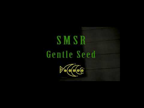 SMSR - Gentle Seed [Official Lyric Video]
