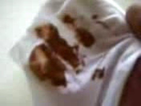 Smile Provokator "Shit Cleaner"