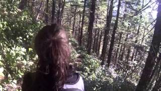 Henline Mt. Hike Part 4