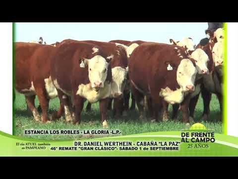DE FRENTE AL CAMPO junto al SECTOR PRODUCTIVO PAMPEANO - DANIEL WERTHEIN -