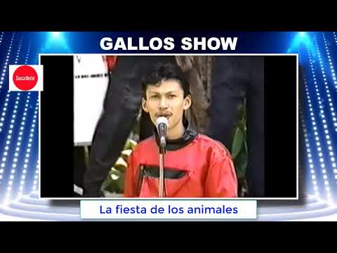 Gallos Show - La fiesta de los animales 503