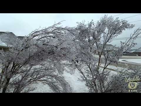 Memphis Ice Storm, February 2022 - Mavic Air 2 - 4K