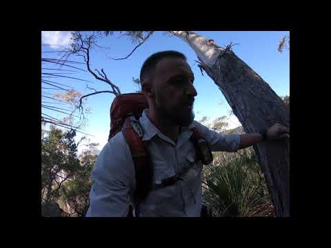 Mount Barney - South Ridge, (Peasants Ridge), Overnight Hike