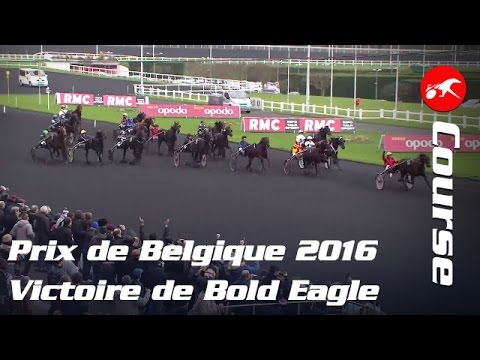 Prix de Belgique 2016, victoire de Bold Eagle - La course